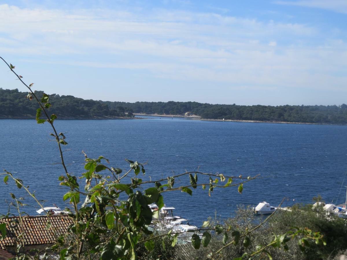 Great Apartment Mali Lošinj Zewnętrze zdjęcie
